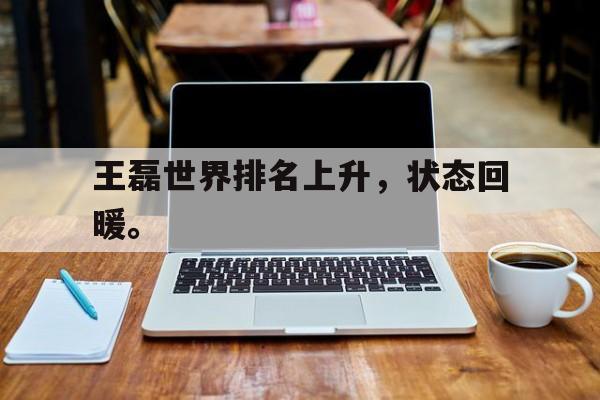 乐鱼体育-王磊世界排名上升，状态回暖。