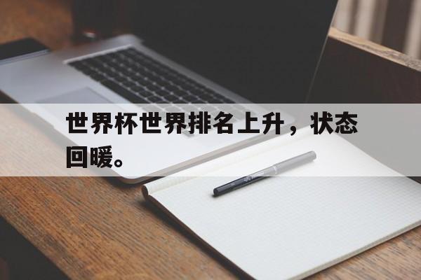 乐鱼体育官网-世界杯世界排名上升，状态回暖。